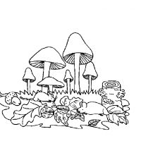 Разукрашка грибы для детей