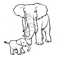 Раскраска слон и слоненок