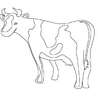Раскраска Корова ребенку