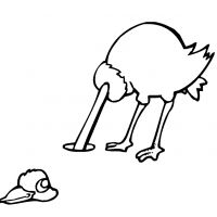 Раскраска страус для детей