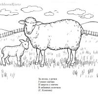 Раскраска овечка со стихами