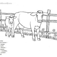 Раскраска со стихами корова и теленок