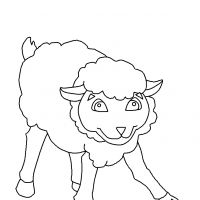 Раскраска овечка для детей