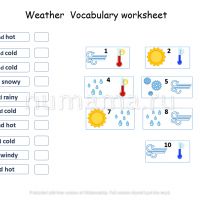 Worksheet weather