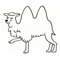 Раскраска верблюд для детей