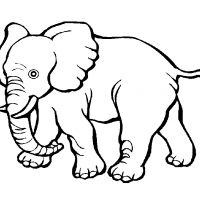 Раскраска Слоненок