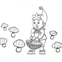 Раскраска по грибы