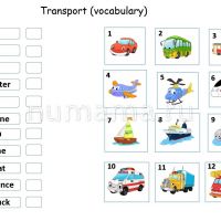 Transport vocabulary worksheet