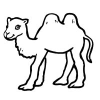 Раскраска верблюжонок