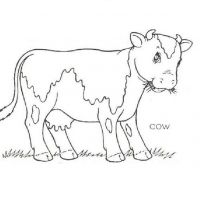 Раскраска корова детская